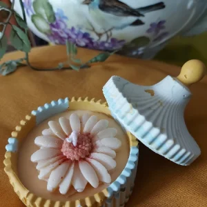 Vela – SpringLight